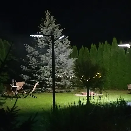 Dom Za Tujami 30 Min Od Centrum Poznania