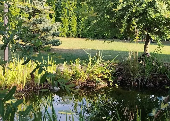 Dom Za Tujami 30 Min Od Centrum Poznania ホームステイ