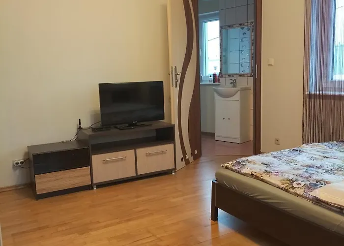 Dom Za Tujami 30 Min Od Centrum Poznania ホームステイ